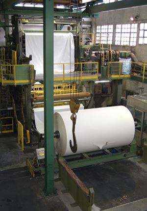 Paper Mills industries